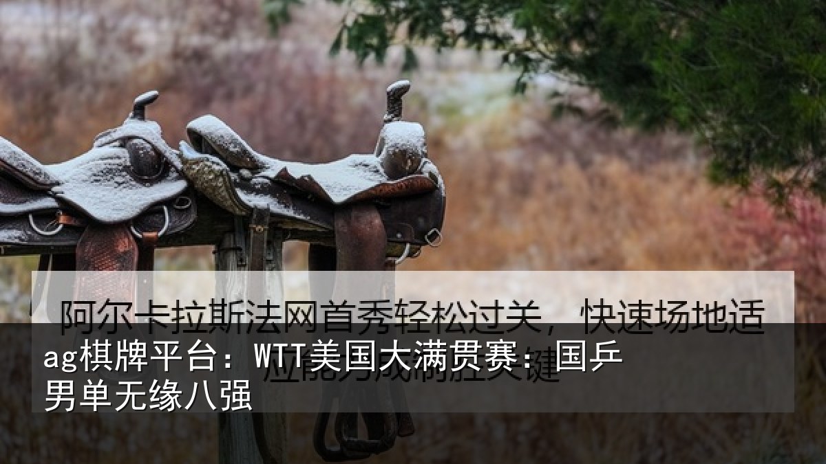 ag棋牌平台：WTT美国大满贯赛：国乒男单无缘八强