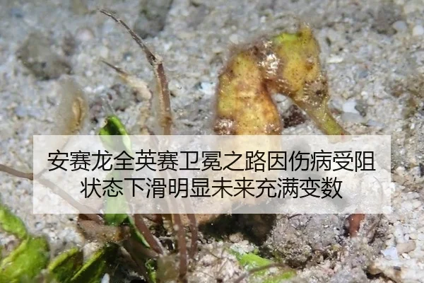 安赛龙全英赛卫冕之路因伤病受阻 状态下滑明显未来充满变数