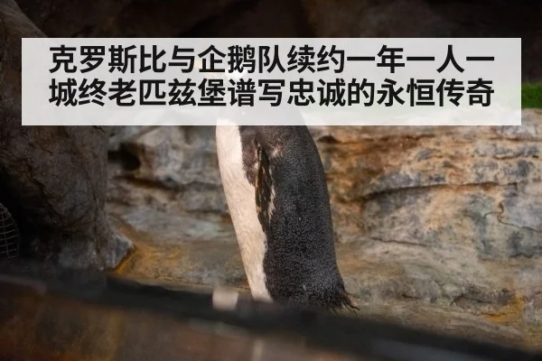 克罗斯比与企鹅队续约一年一人一城终老匹兹堡谱写忠诚的永恒传奇