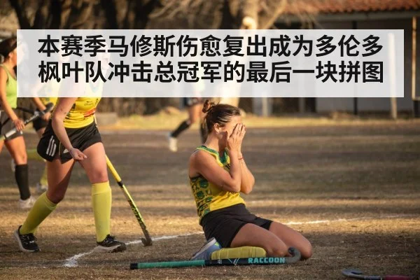 本赛季马修斯伤愈复出成为多伦多枫叶队冲击总冠军的最后一块拼图