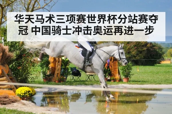 华天马术三项赛世界杯分站赛夺冠 中国骑士冲击奥运再进一步